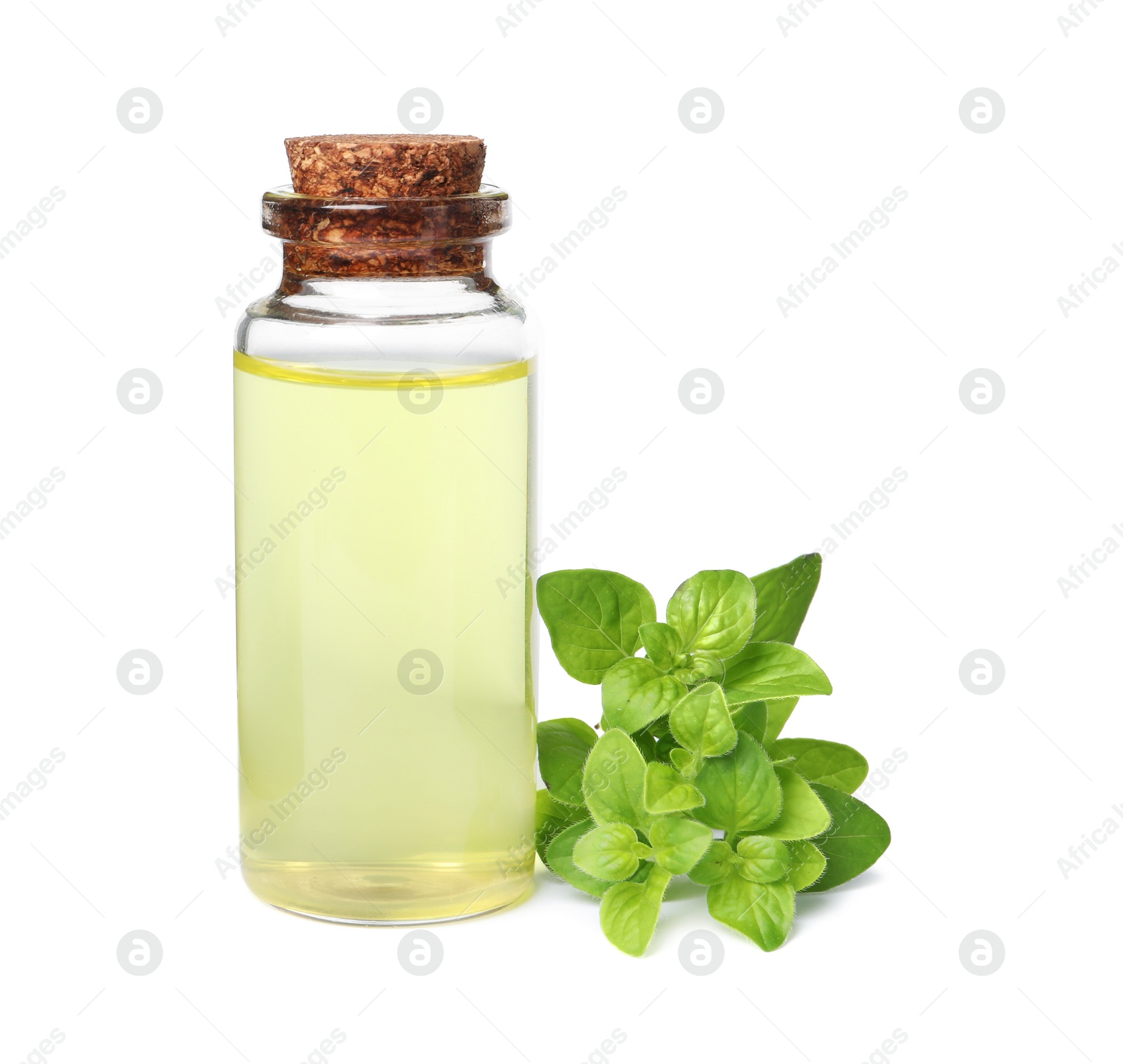 Photo of Essential oil in bottle and oregano leaves isolated on white