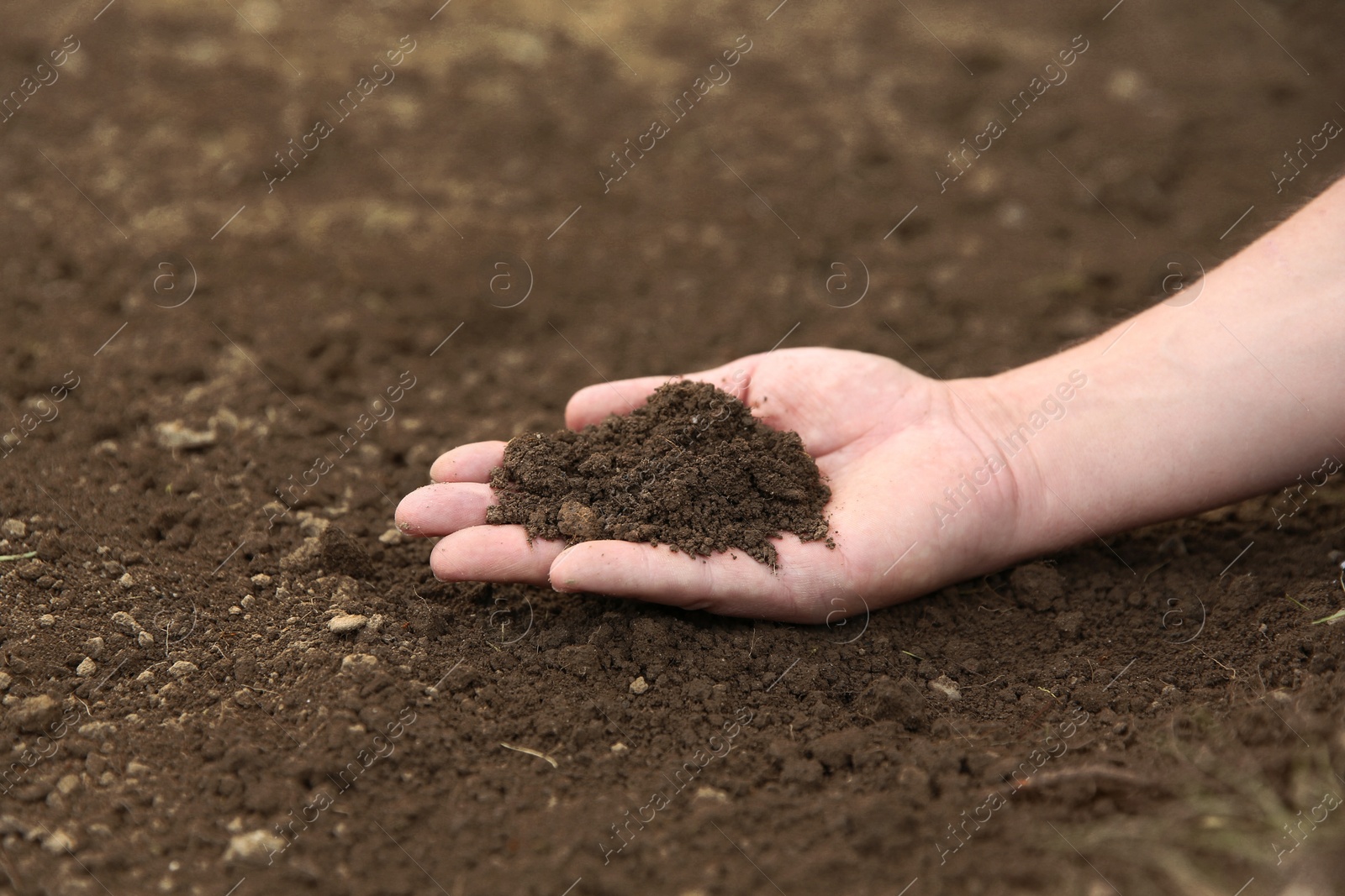 Photo of Woman holding pile of soil outdoors, closeup