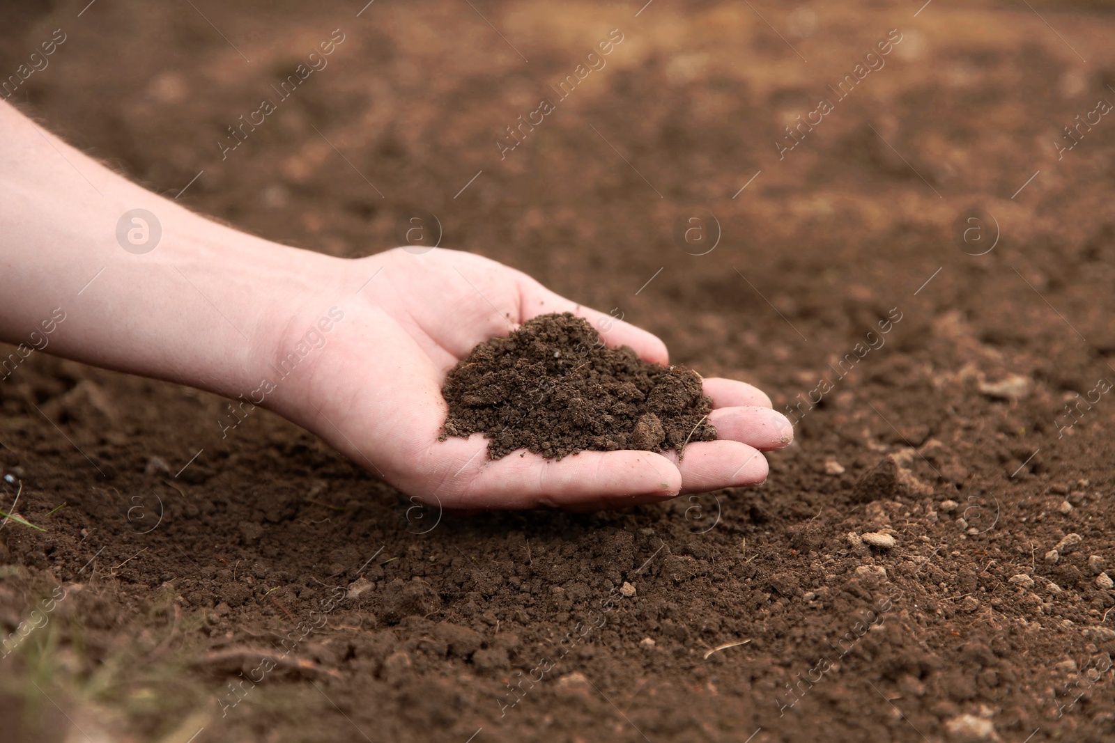 Photo of Woman holding pile of soil outdoors, closeup. Space for text