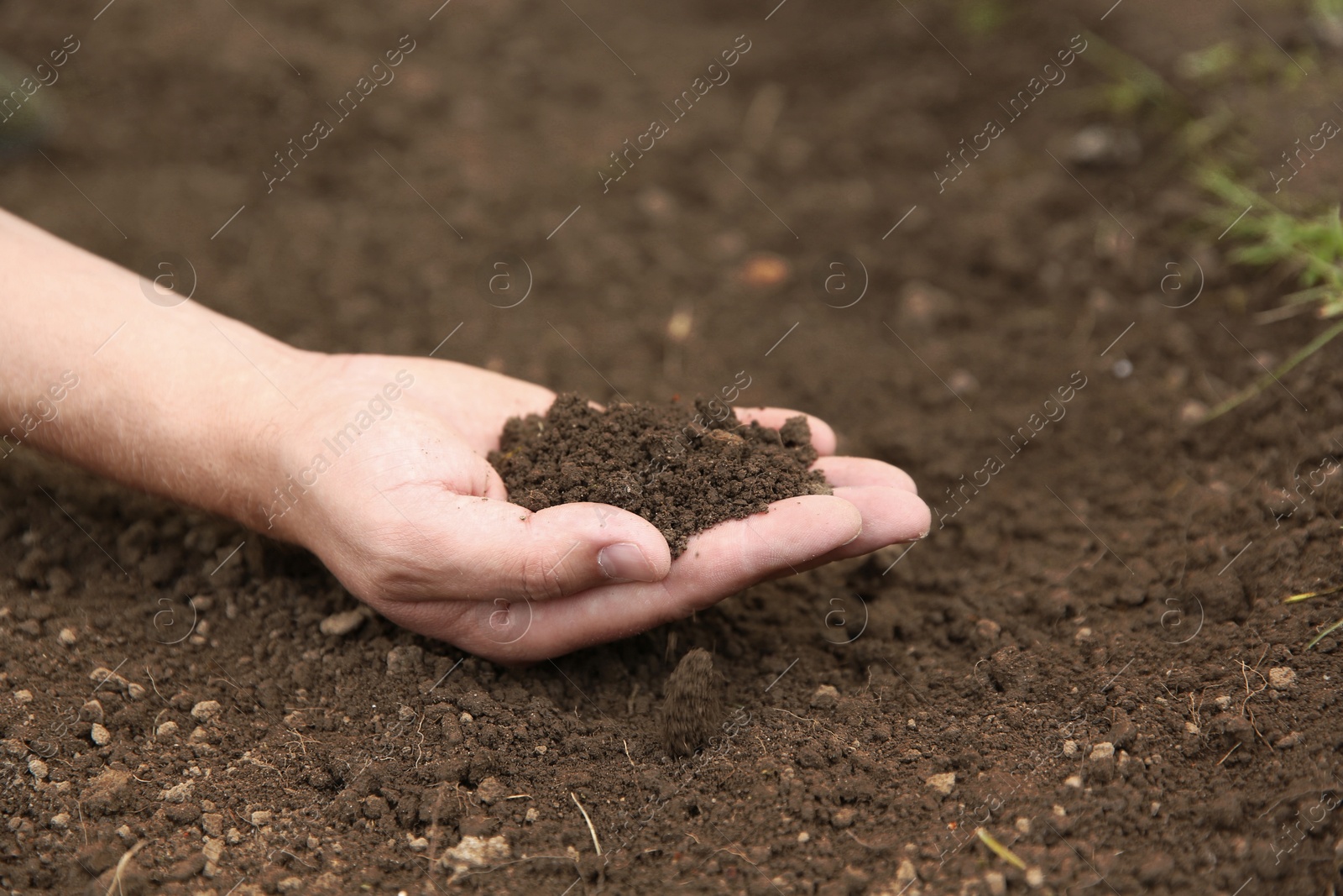 Photo of Woman holding pile of soil outdoors, closeup