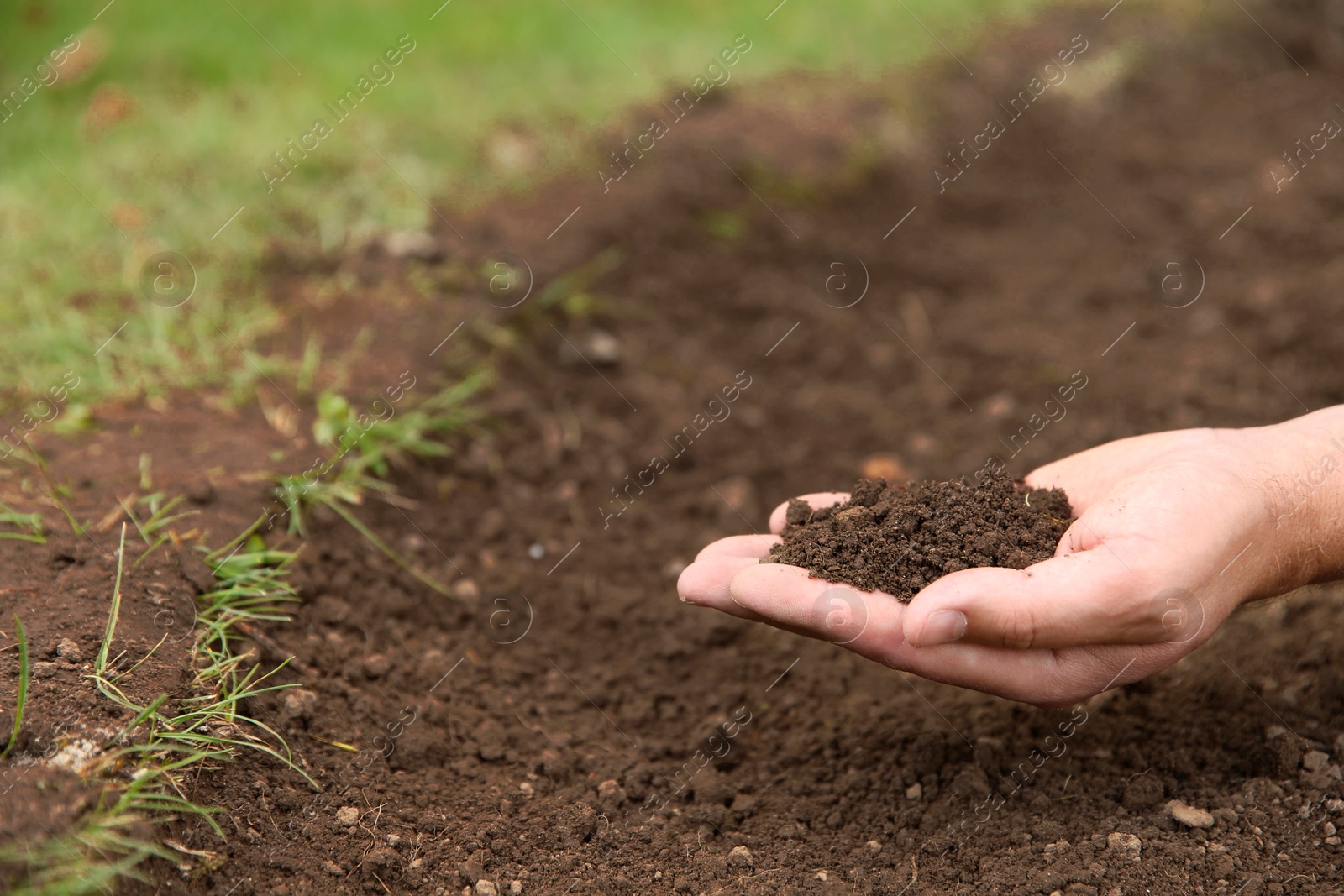 Photo of Woman holding pile of soil outdoors, closeup. Space for text