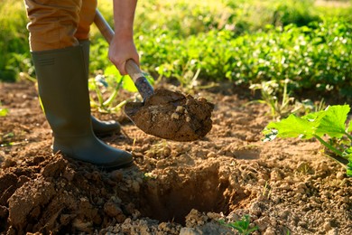 Farmer digging soil with shovel on sunny day, closeup