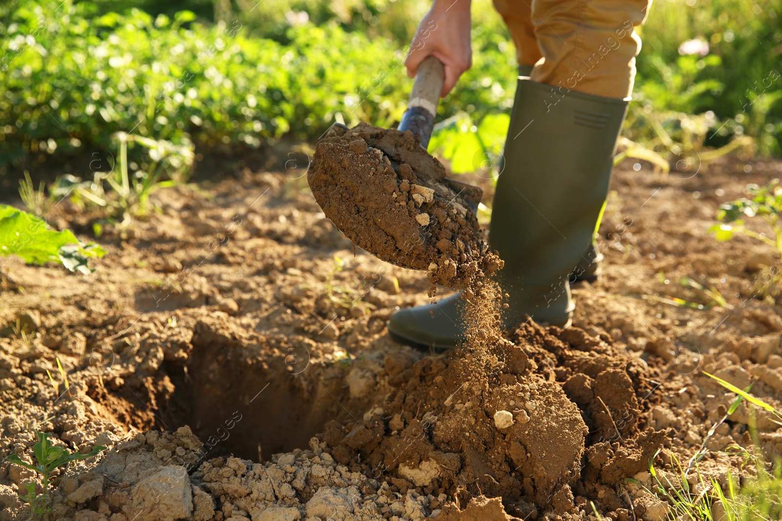 Photo of Farmer digging soil with shovel on sunny day, closeup