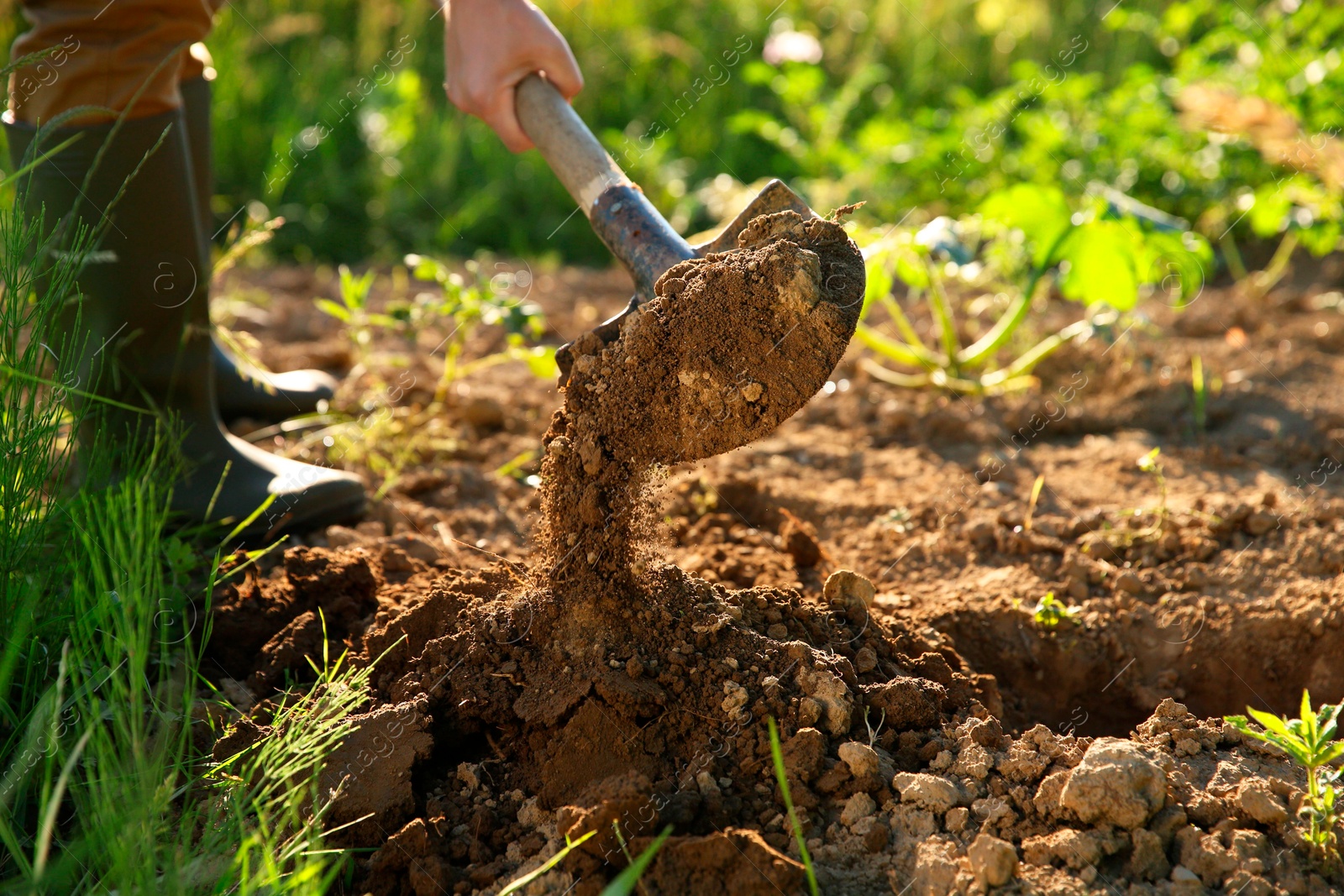 Photo of Farmer digging soil with shovel on sunny day, closeup