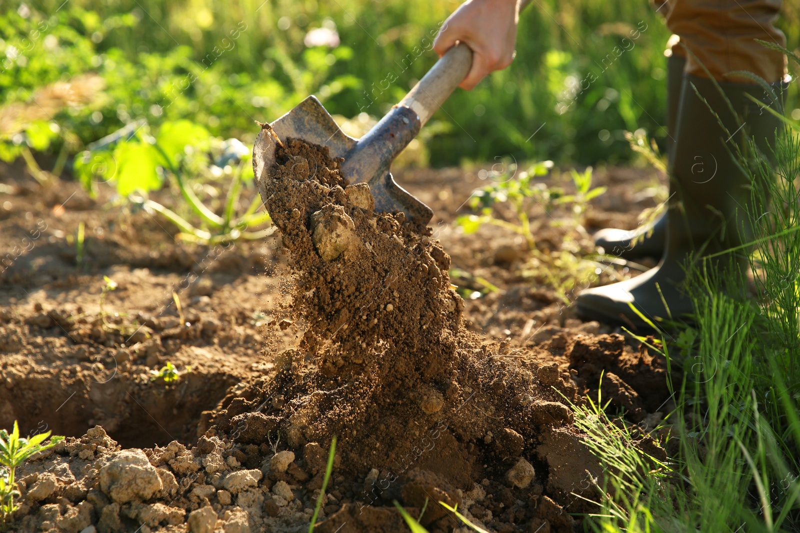 Photo of Farmer digging soil with shovel on sunny day, closeup