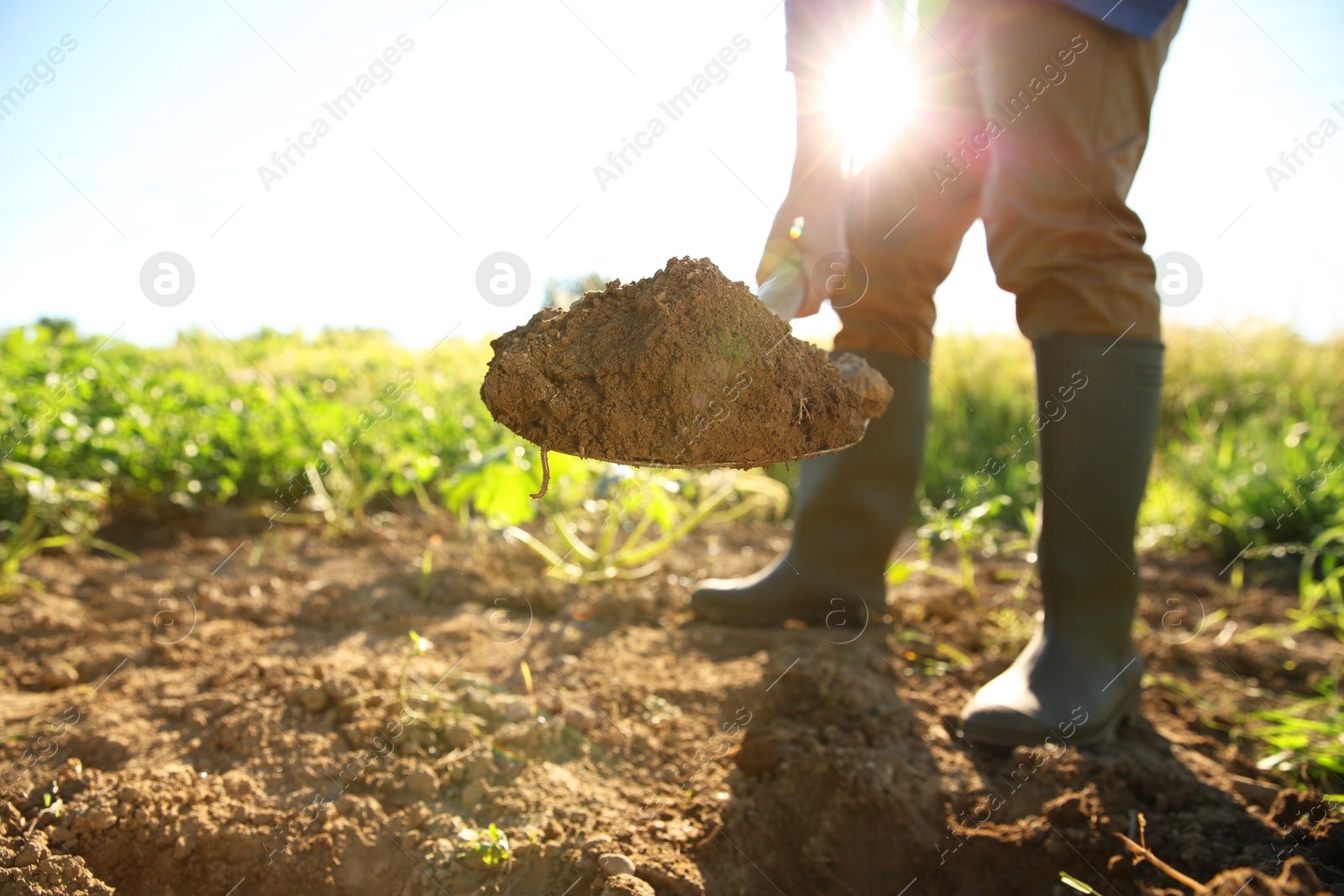 Photo of Farmer digging soil with shovel on sunny day, closeup