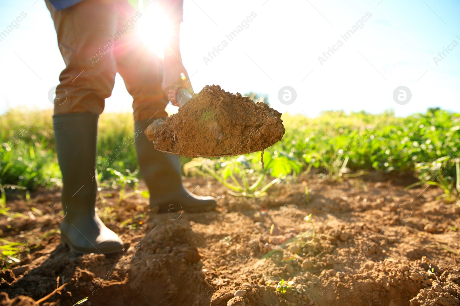 Photo of Farmer digging soil with shovel on sunny day, closeup