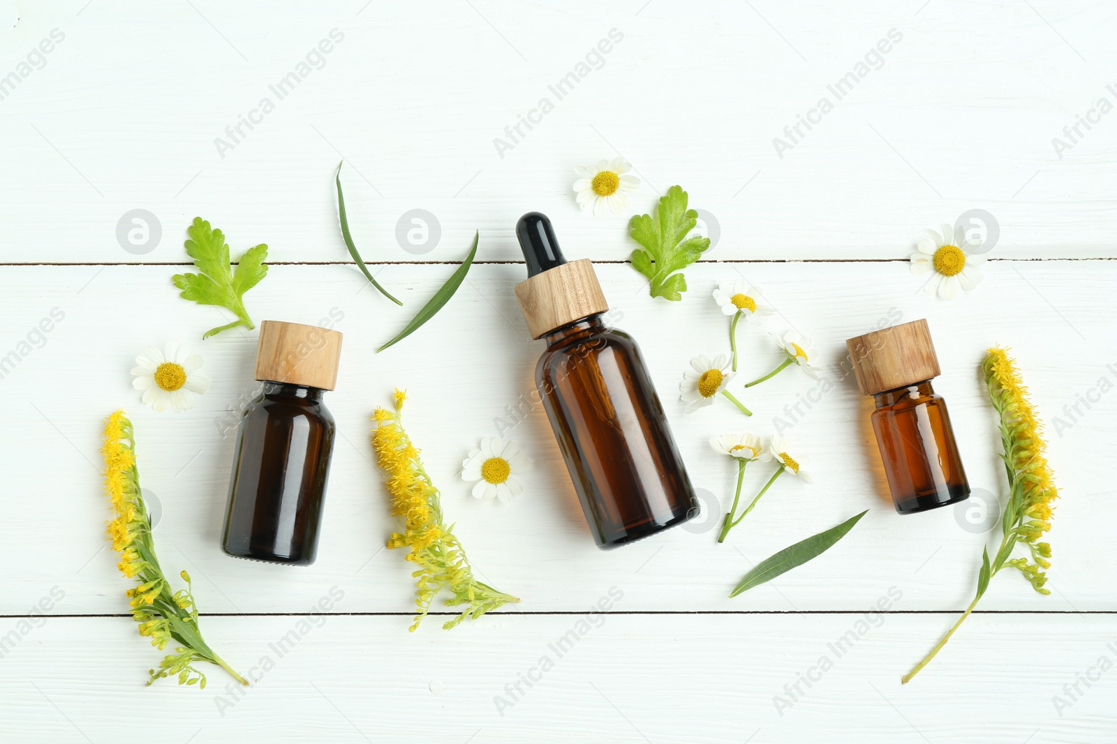 Photo of Tinctures in bottles, goldenrods and chamomile flowers on white wooden table, flat lay