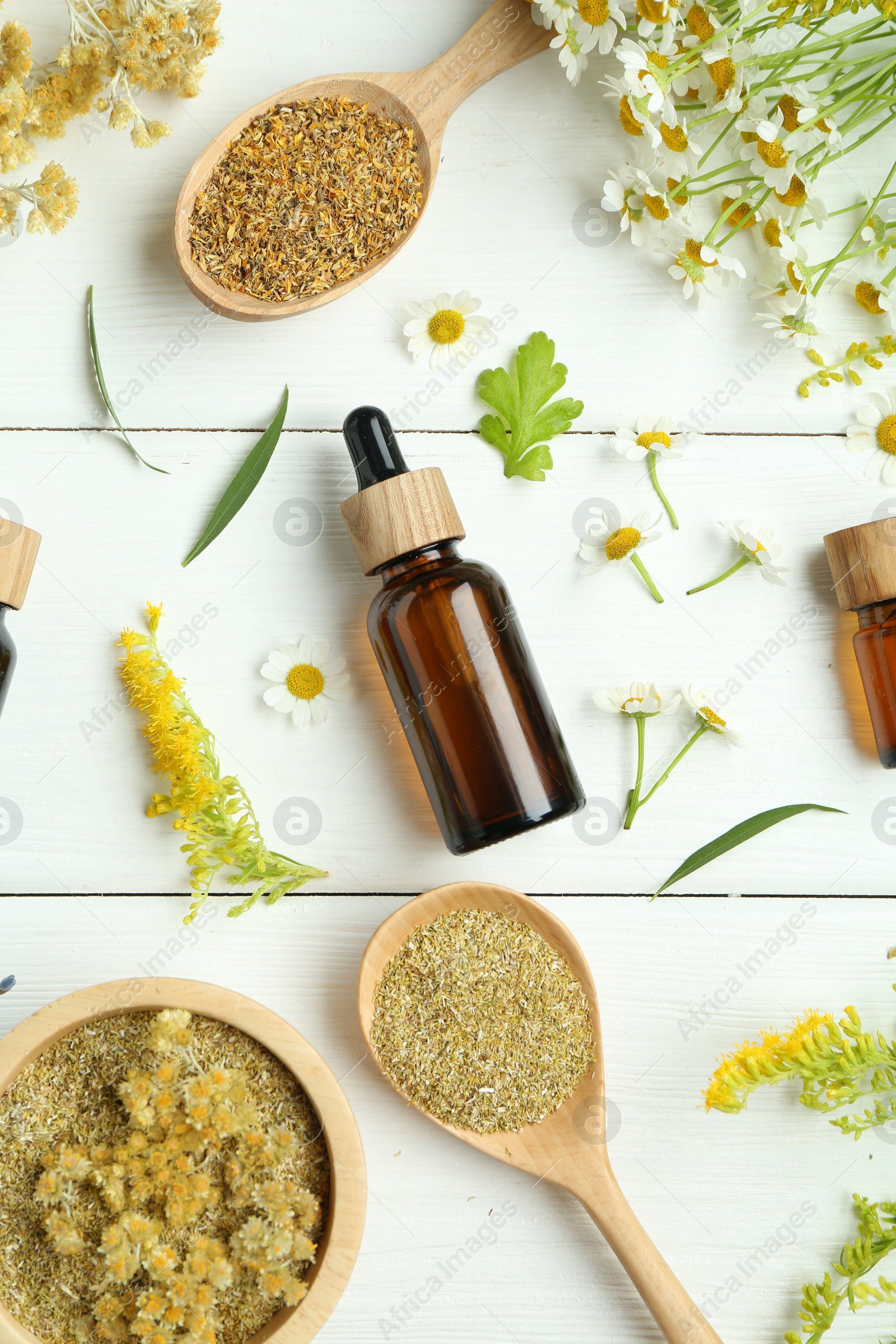 Photo of Tinctures in bottles and different medicinal herbs on white wooden table, flat lay