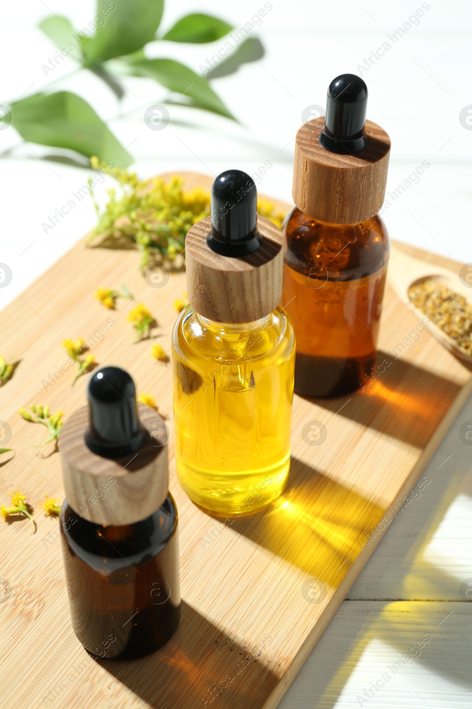 Photo of Tinctures in bottles and medicinal herbs on white wooden table