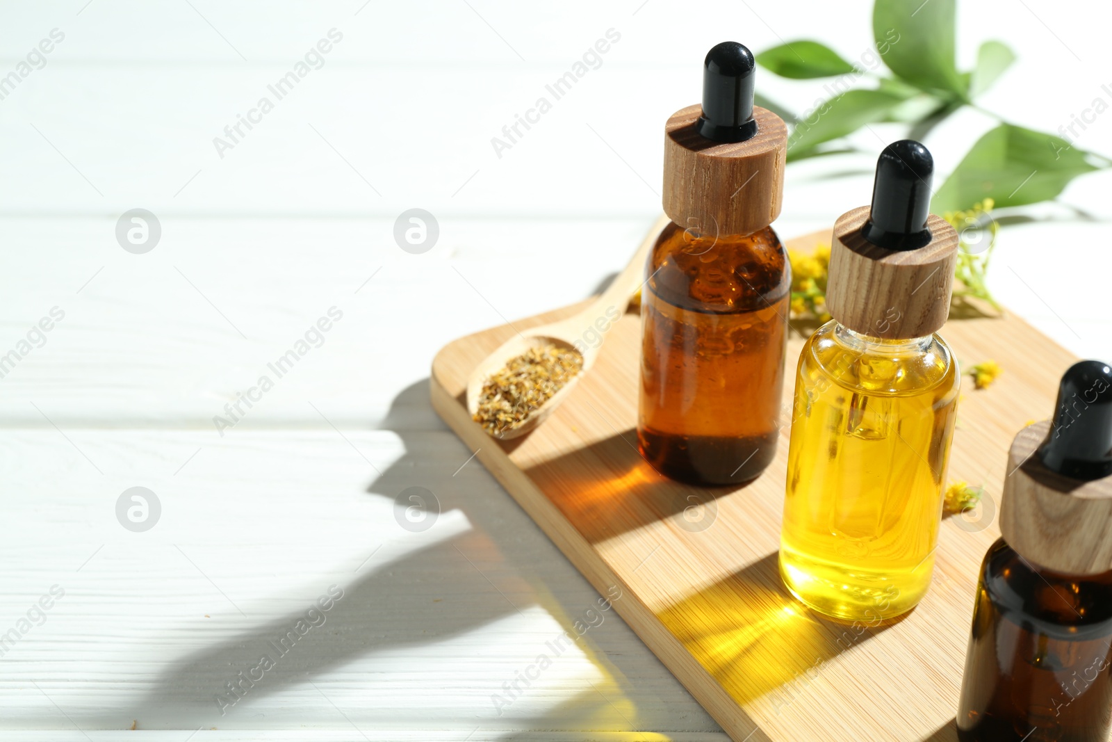 Photo of Tinctures in bottles and medicinal herbs on white wooden table, closeup. Space for text