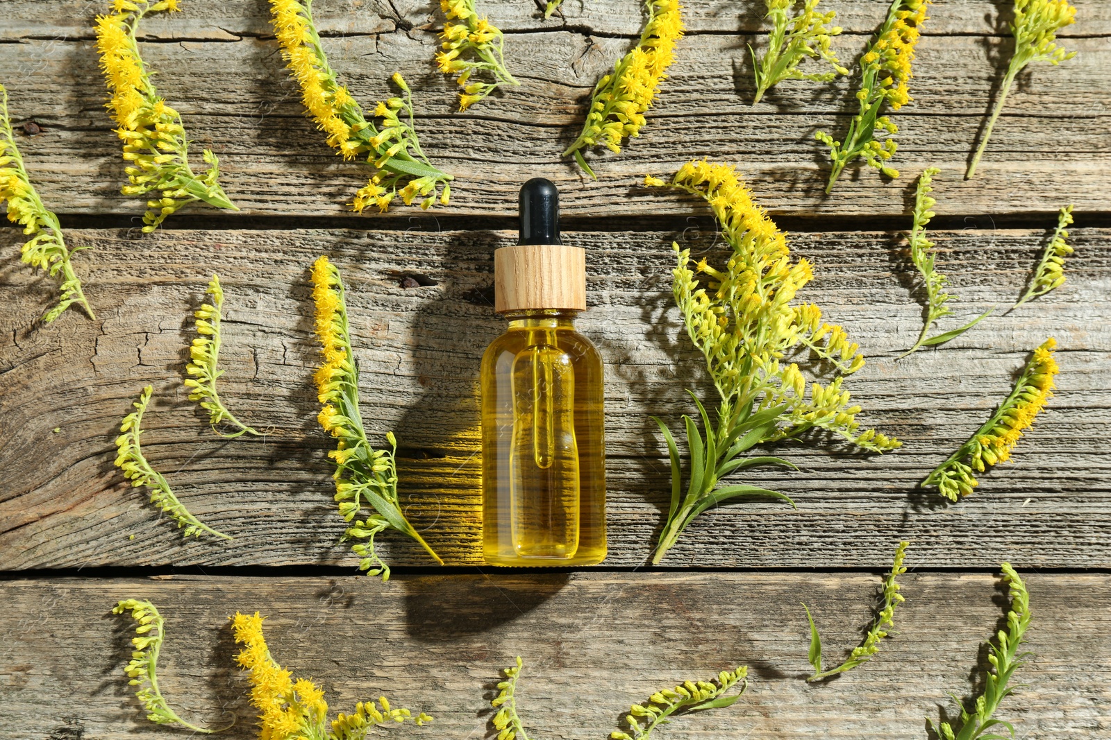 Photo of Tincture in bottle and goldenrod flowers on wooden table, flat lay