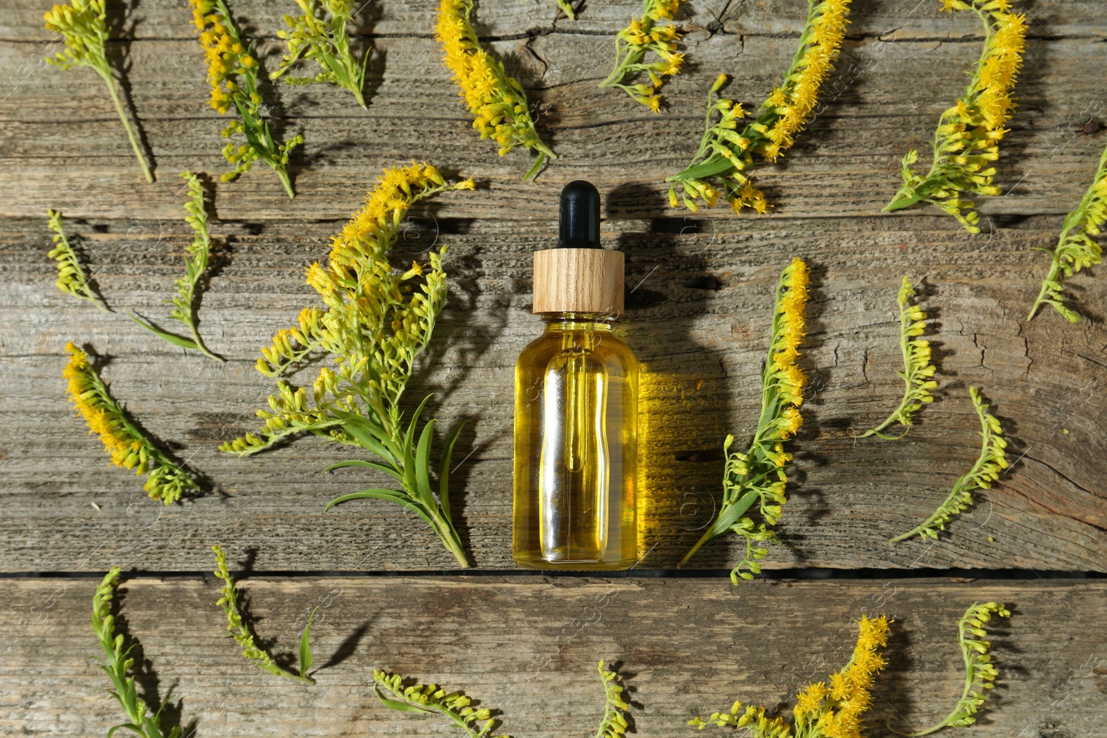 Photo of Tincture in bottle and goldenrod flowers on wooden table, flat lay