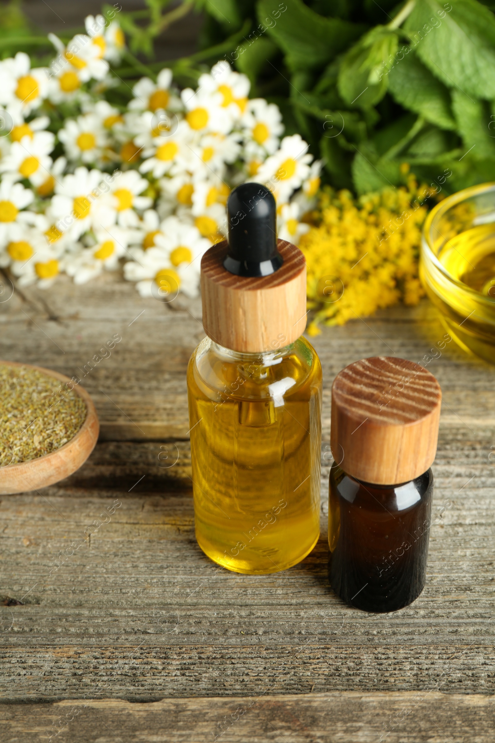 Photo of Tinctures and medicinal herbs on wooden table