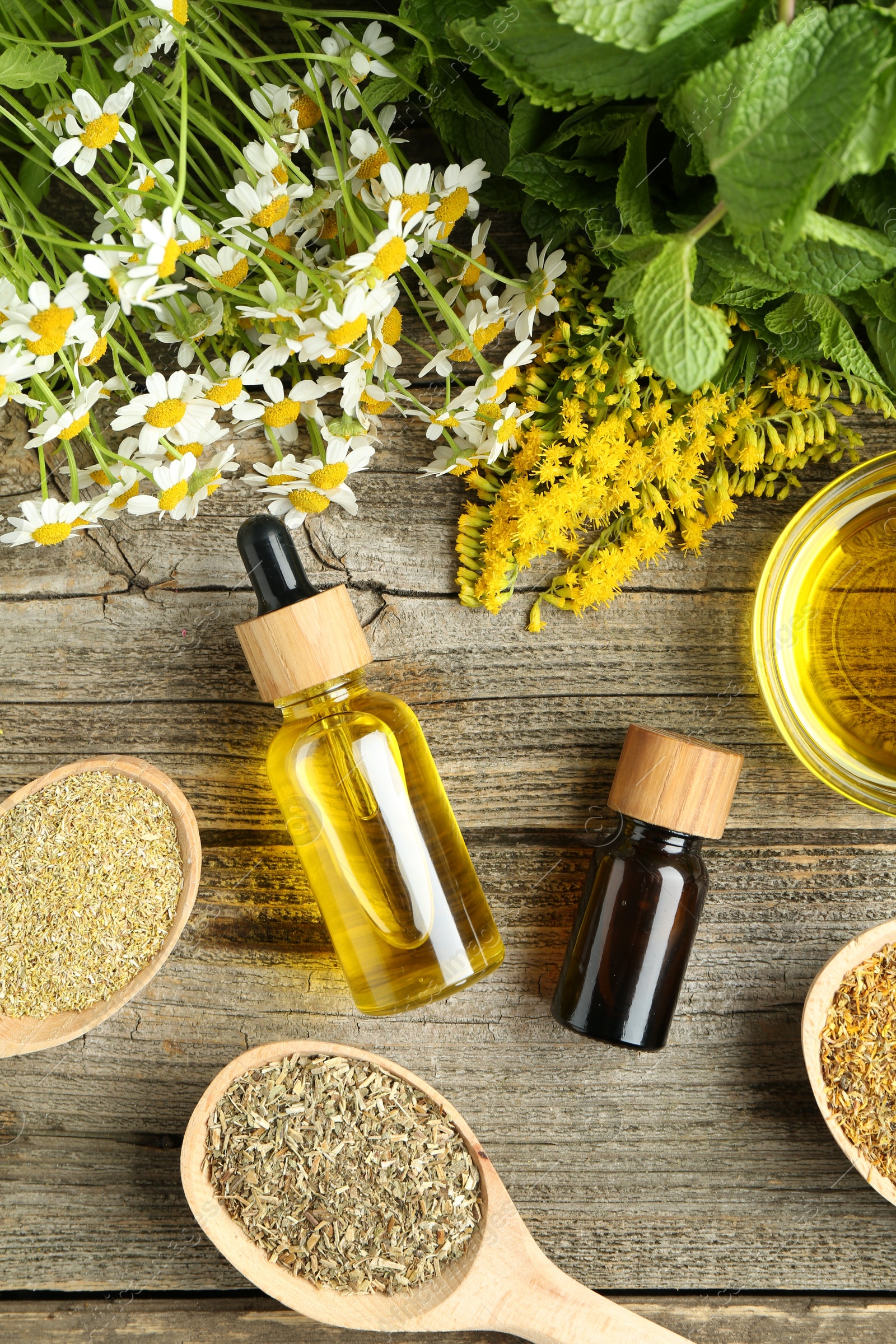 Photo of Tinctures and medicinal herbs on wooden table, flat lay