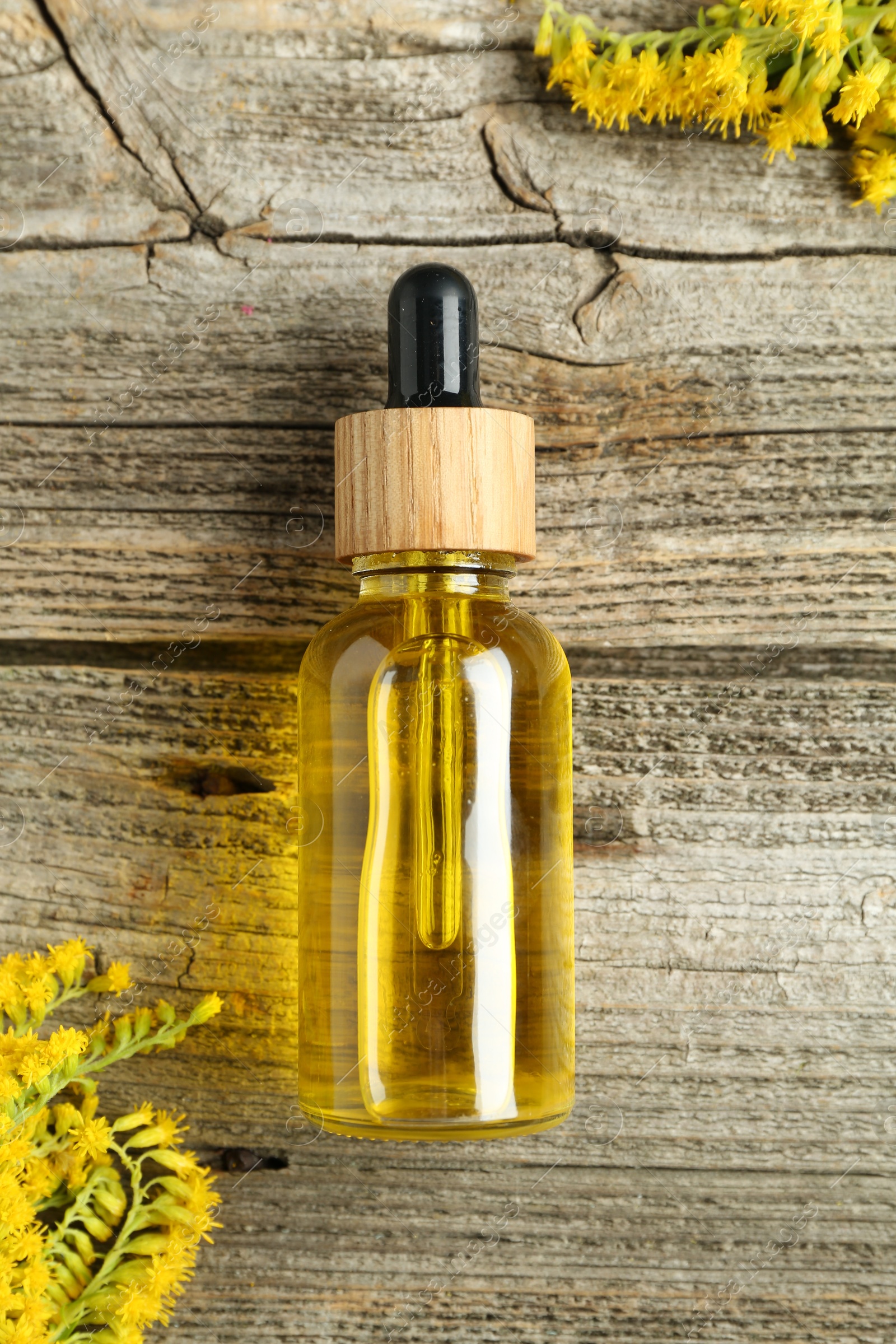 Photo of Tincture in bottle and goldenrod flowers on wooden table, top view