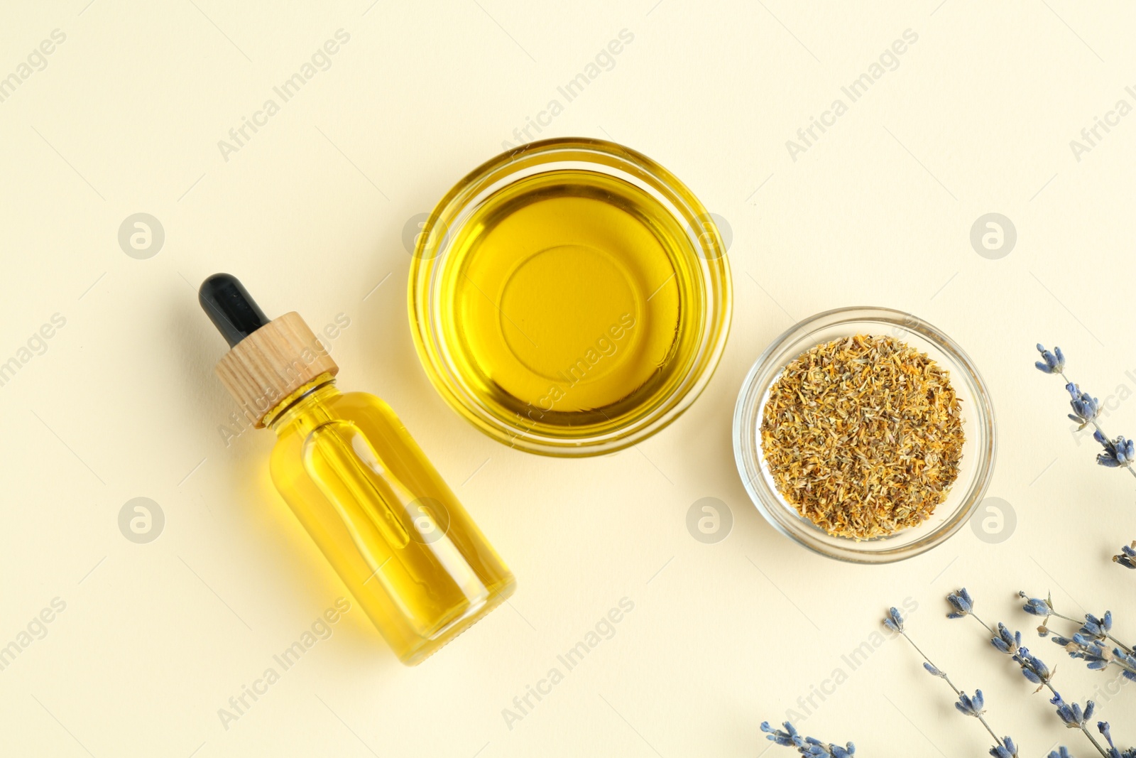 Photo of Tinctures and medicinal herbs on beige background, flat lay