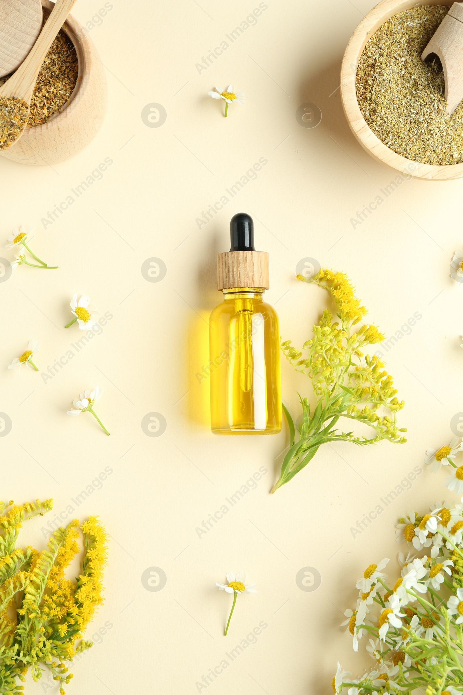 Photo of Tincture in bottle and medicinal herbs on beige background, flat lay