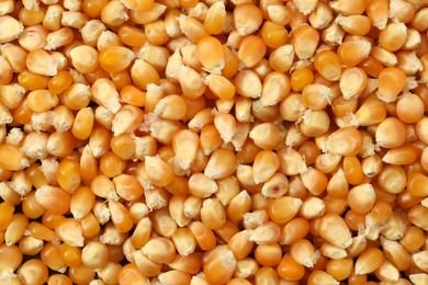 Photo of Fresh corn kernels as background, top view