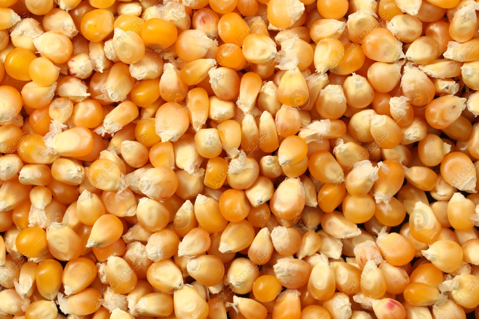 Photo of Fresh corn kernels as background, top view