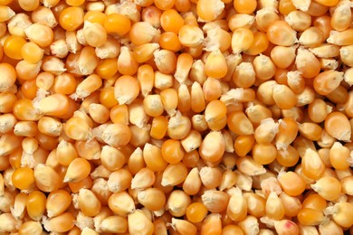 Fresh corn kernels as background, top view