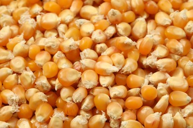 Fresh corn kernels as background, closeup view