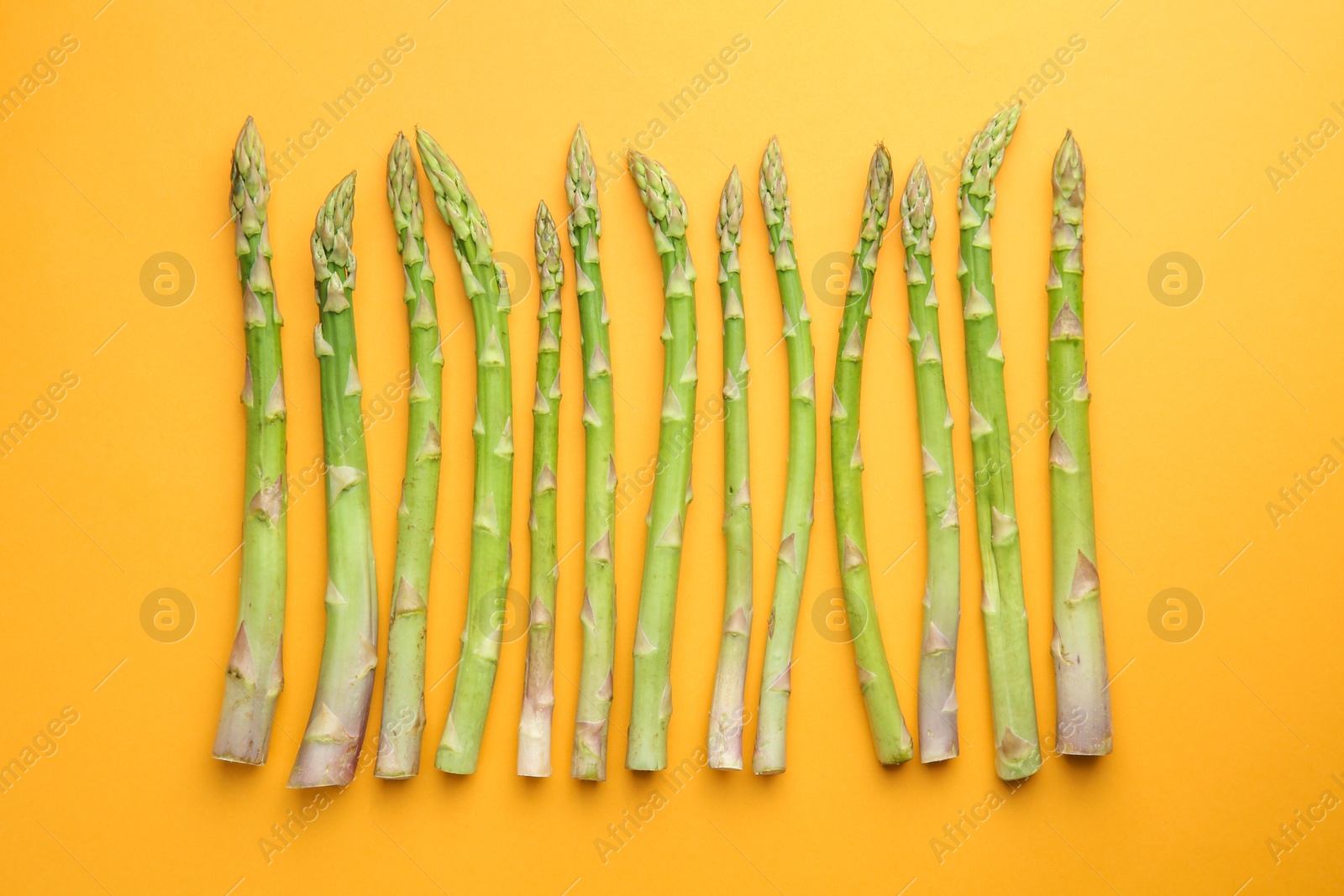 Photo of Fresh green asparagus stems on orange table, top view