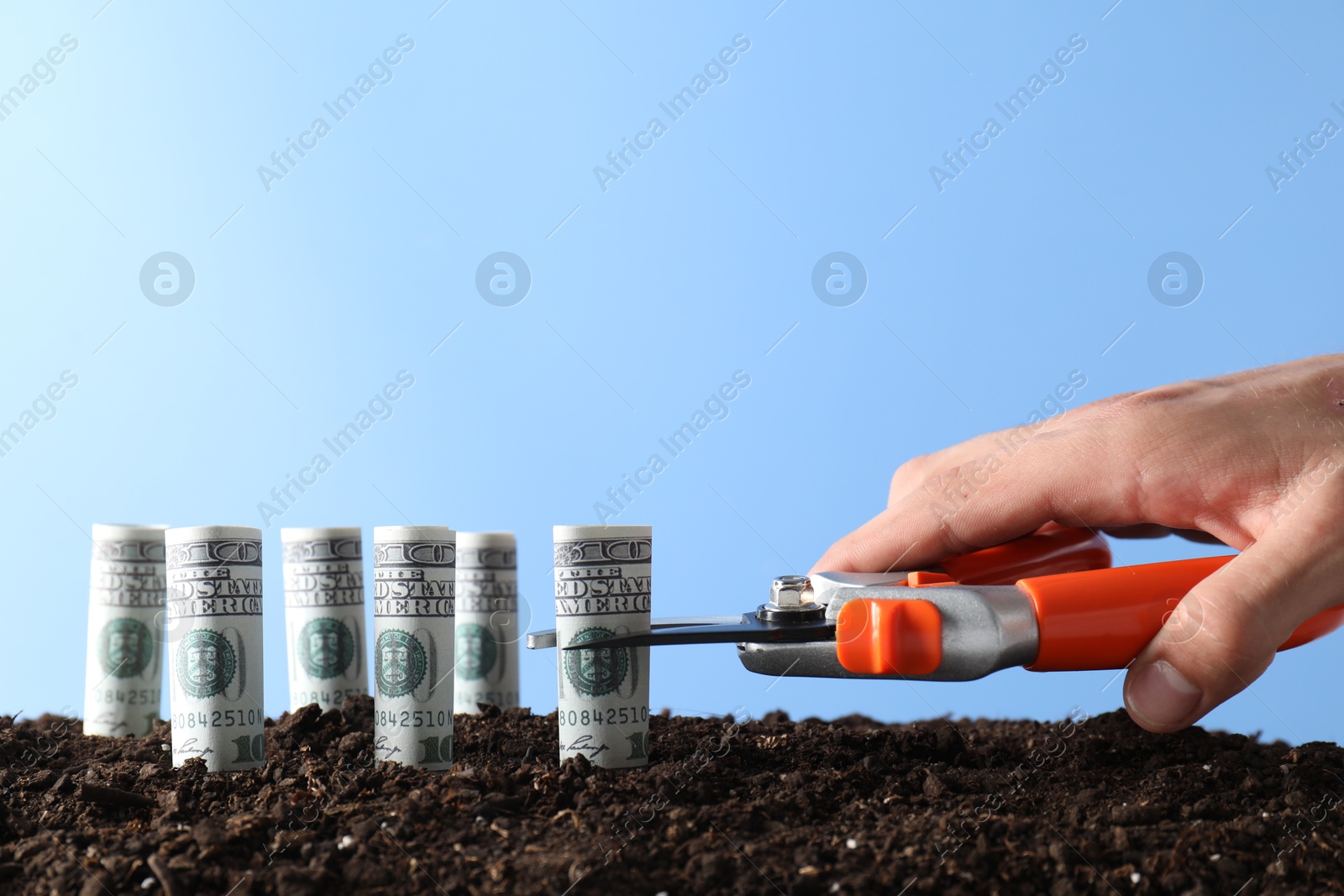 Photo of Budgeting. Man cutting dollar banknotes with scissors on soil against light blue background, closeup