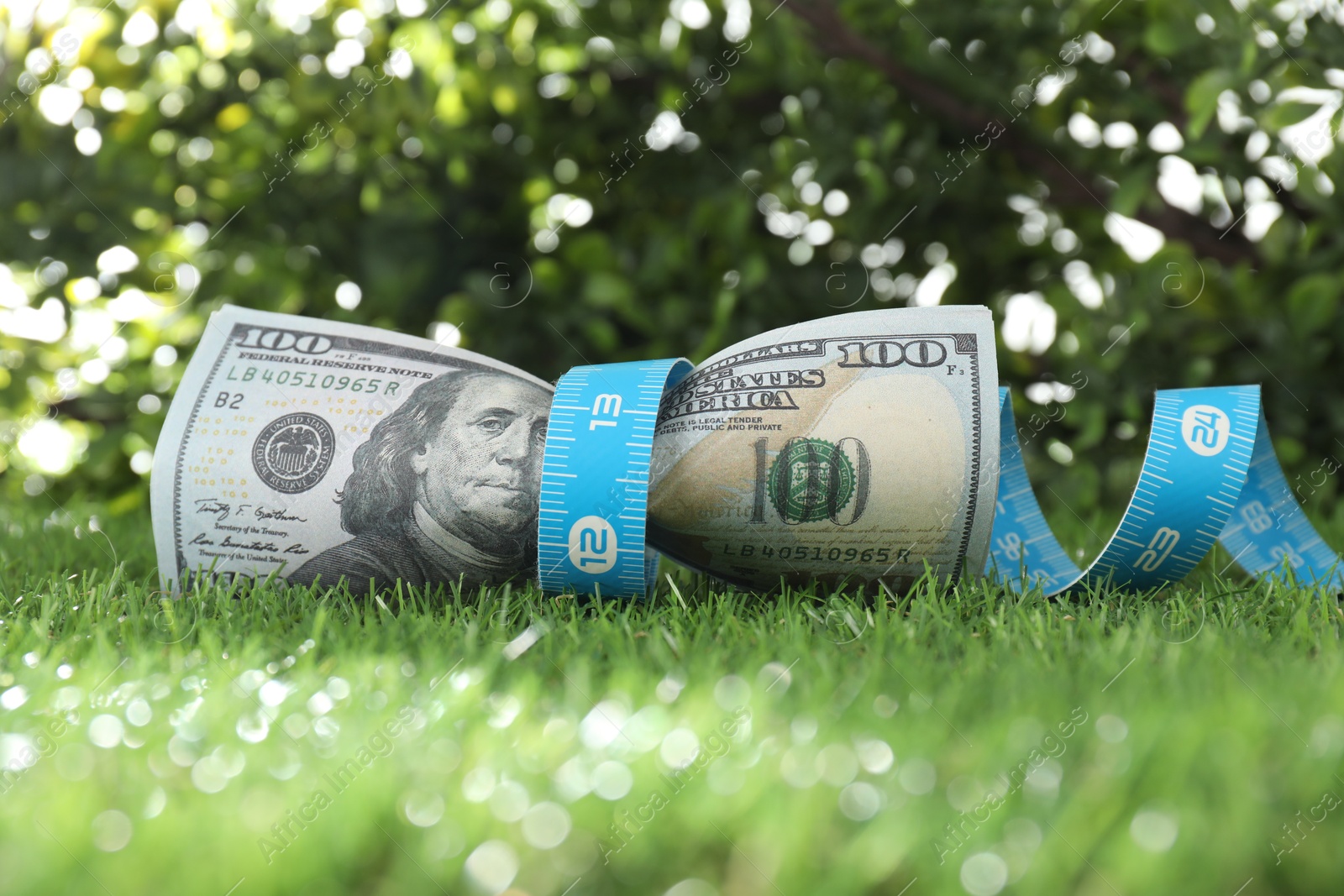 Photo of Budgeting. Dollar banknotes and measuring tape on green grass