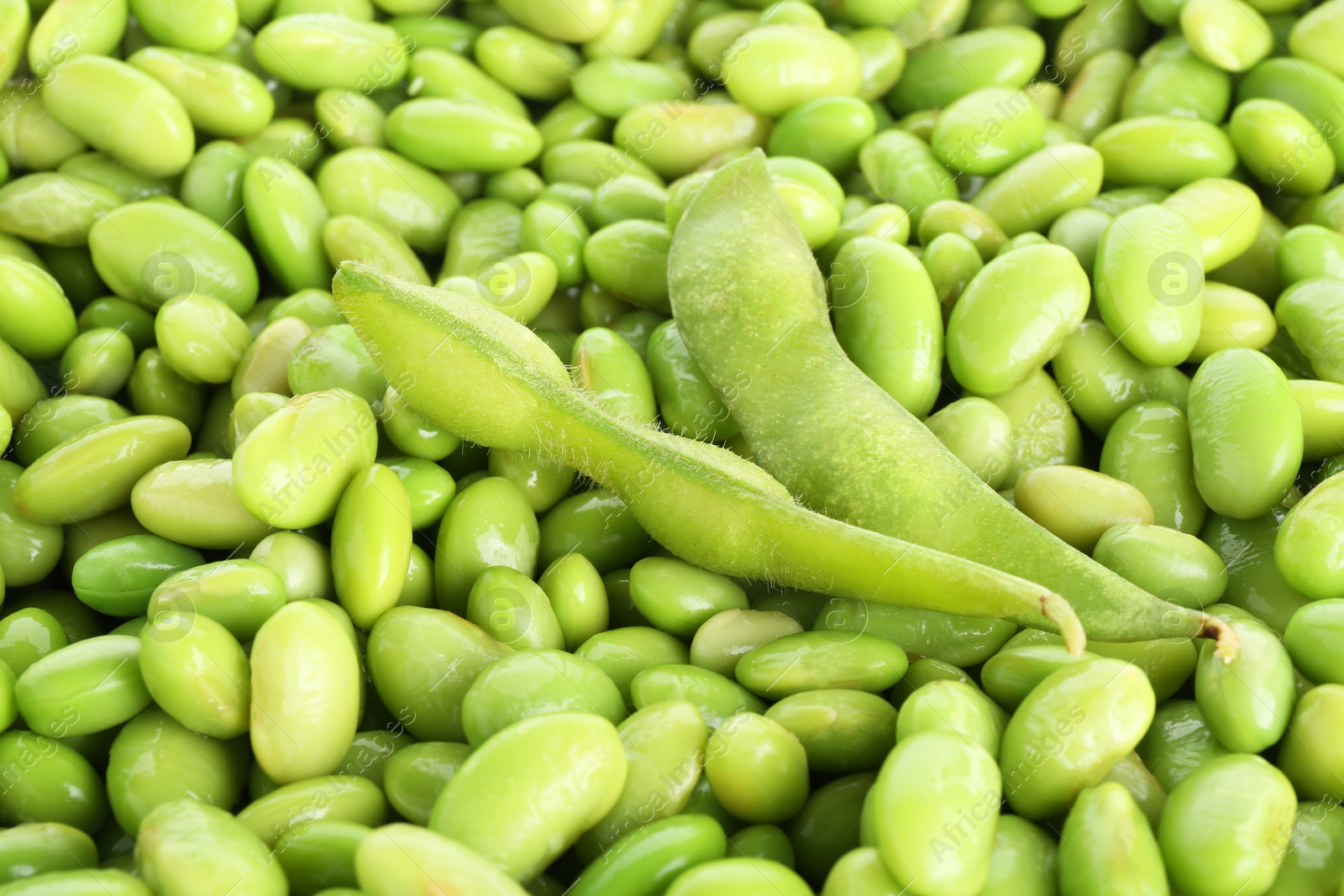 Photo of Raw green edamame pods on soybeans as background, closeup