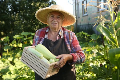 Photo of Senior farmer holding wooden crate with zucchinis outdoors