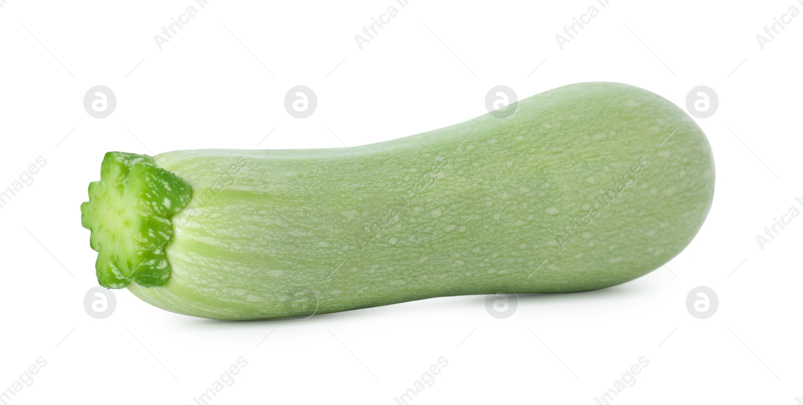 Photo of One fresh ripe zucchini isolated on white