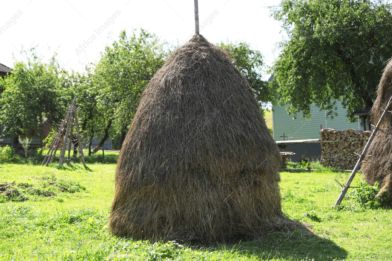 Photo of Pile of hay on farmland on sunny day