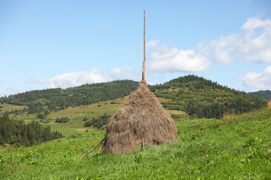 Photo of Pile of hay on field on sunny day