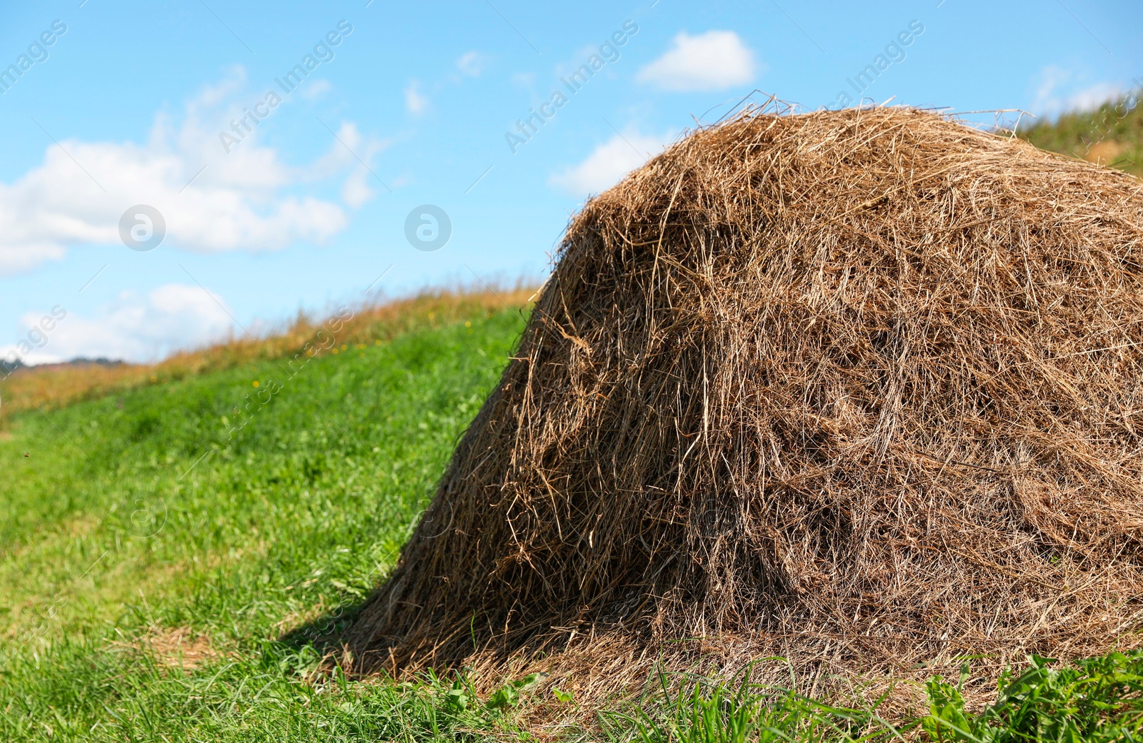 Photo of Pile of hay on field on sunny day. Space for text