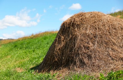 Pile of hay on field on sunny day. Space for text