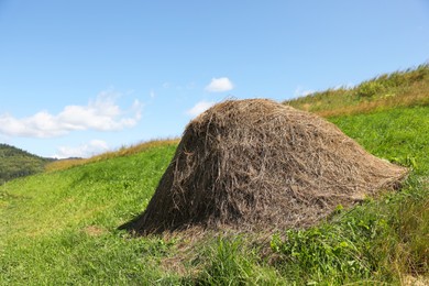 Photo of Pile of hay on field on sunny day. Space for text