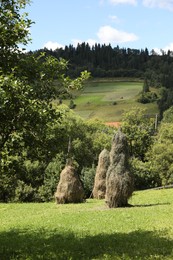 Piles of hay in field on sunny day