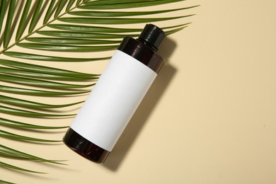 Photo of Bottle of shampoo and palm leaf on beige background, flat lay. Space for text