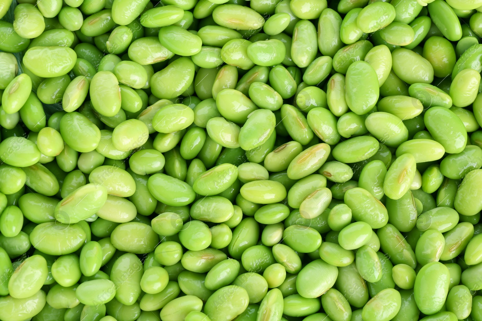 Photo of Raw green edamame soybeans as background, top view