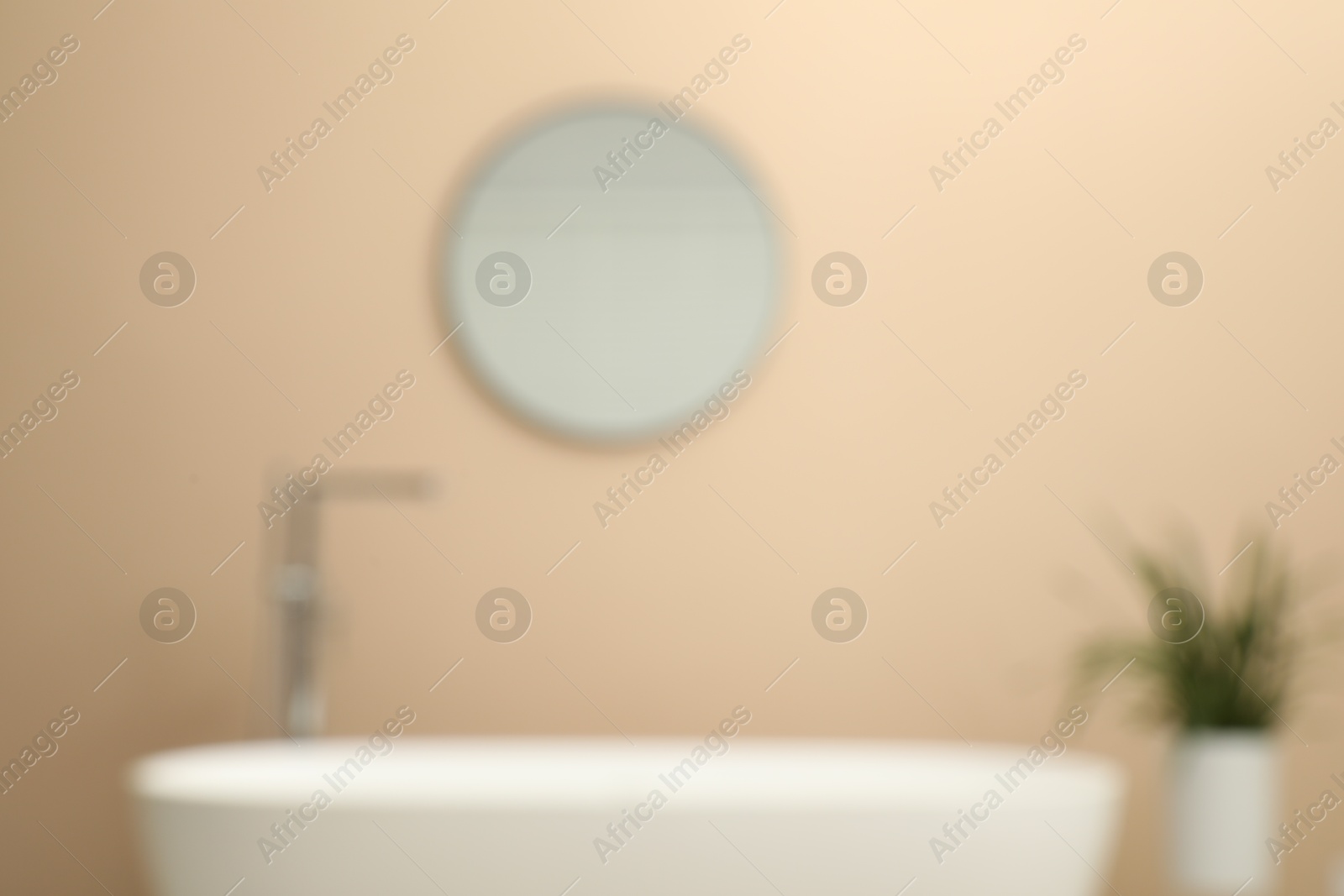 Photo of Blurred view of bathtub, houseplant and mirror in bathroom