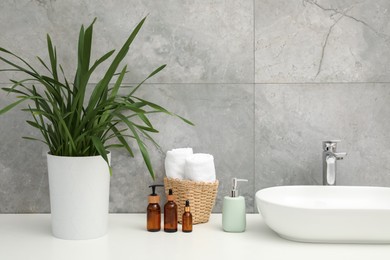 Photo of Countertop with sink, houseplant and toiletries in bathroom