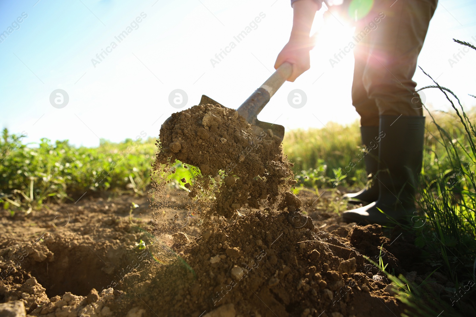 Photo of Farmer digging soil with shovel on sunny day, closeup