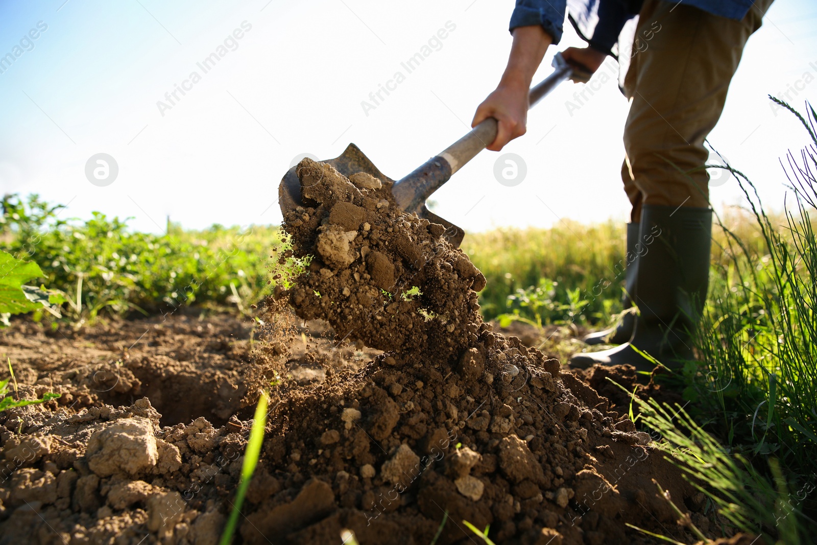 Photo of Farmer digging soil with shovel on sunny day, closeup