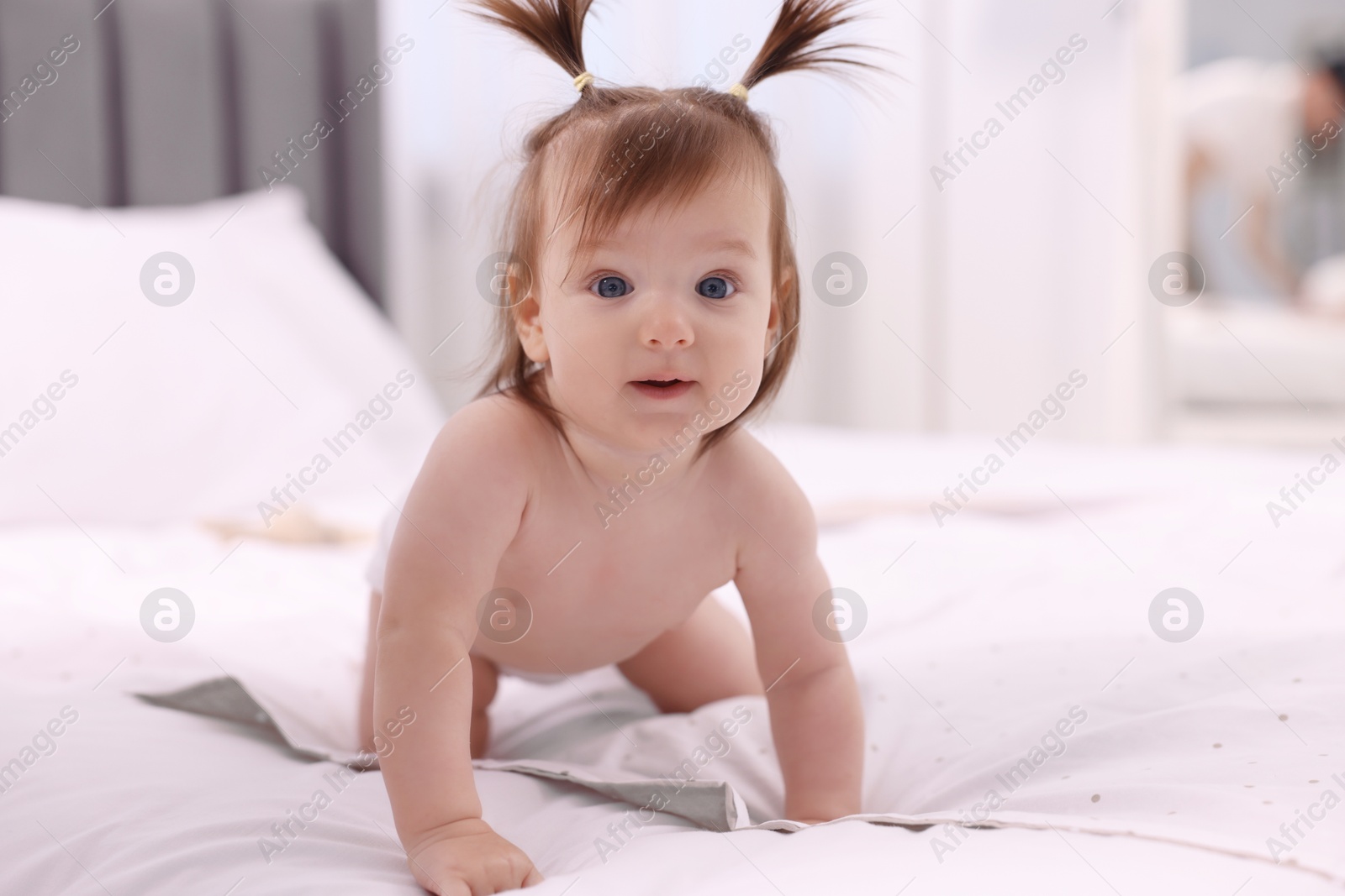 Photo of Cute little girl in diaper crawling on bed at home