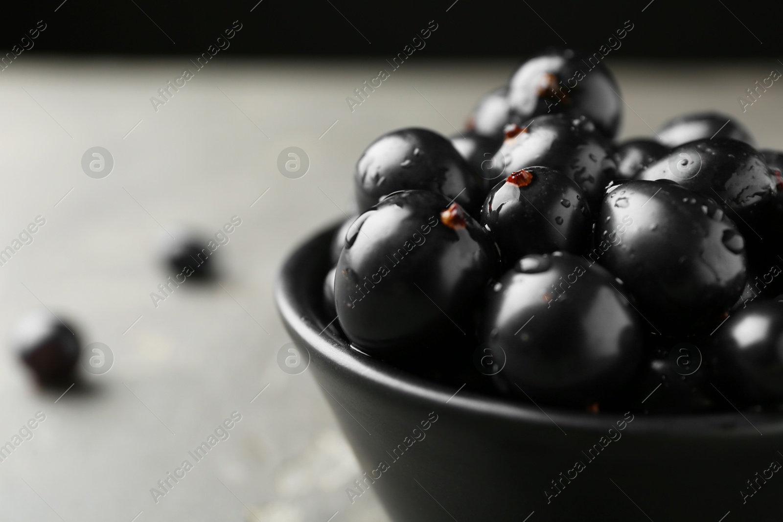 Photo of Ripe black currants in bowl on grey table, closeup. Space for text