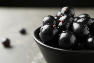 Ripe black currants in bowl on grey table, closeup. Space for text