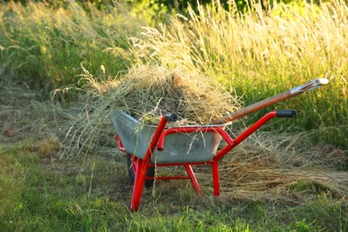 One wheelbarrow full of mown grass outdoors