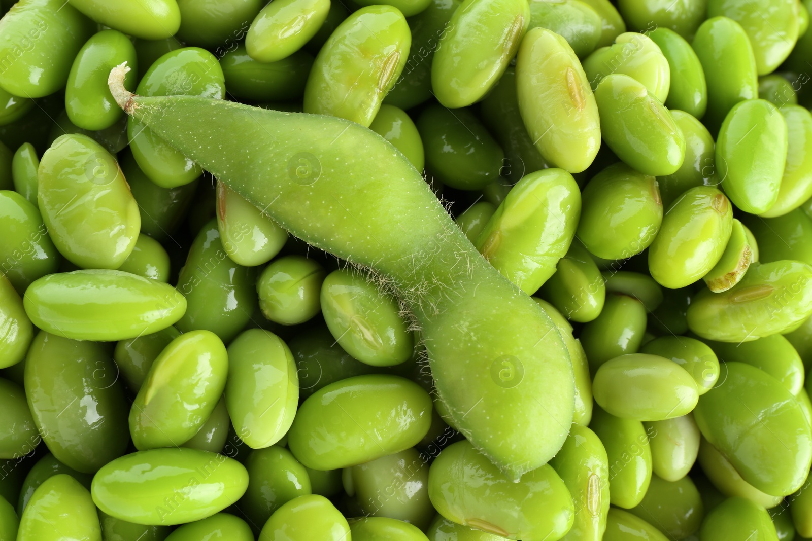 Photo of Raw green edamame pod on soybeans as background, top view