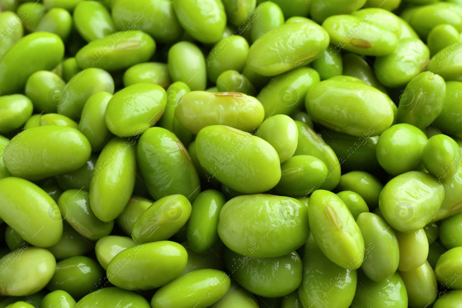 Photo of Raw green edamame soybeans as background, closeup